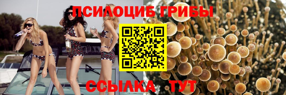 Псилоцибиновые грибы MAGIC MUSHROOMS  Вход с VPN  Зеленокумск 