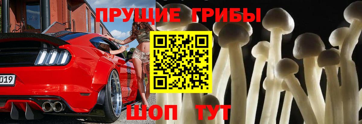 Галлюциногенные грибы ЛСД Зеленокумск